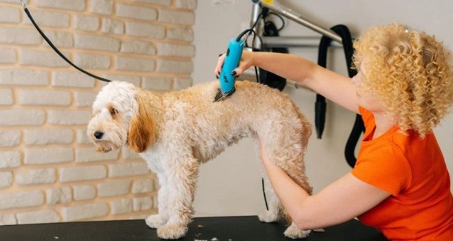 common grooming errors