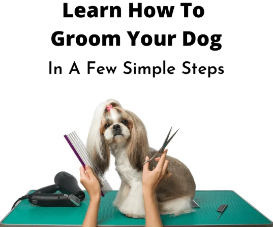 how to groom a dog at home