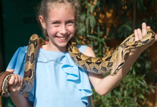 snake handling after feeding