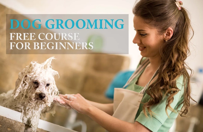 how to groom a dog at home