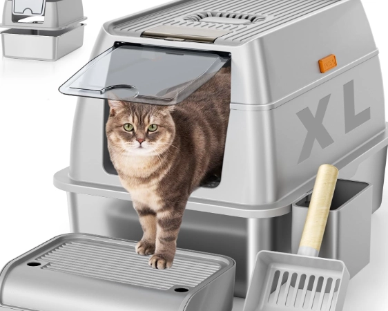 golden rule for litter boxes