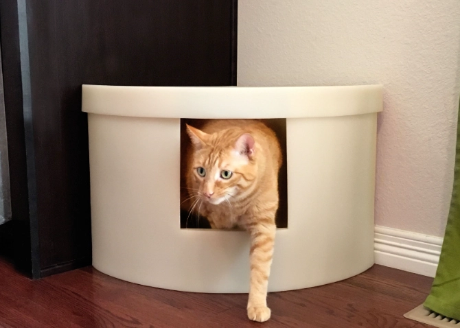cat litter box rule