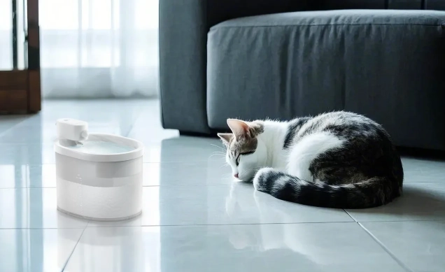 cat behavior problems