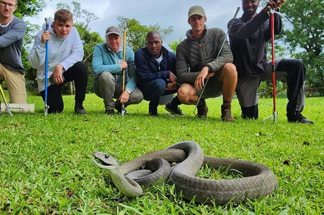 new snake handling new snake handling