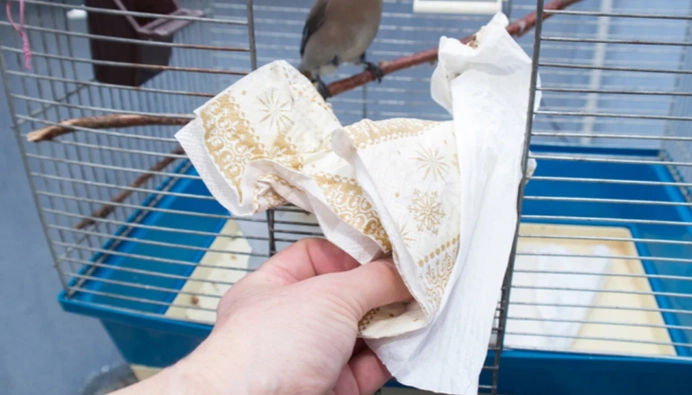 bird cage cleaning supplies bird cage cleaning supplies