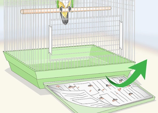 how to clean a bird cage how to clean a bird cage