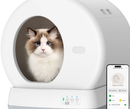 why won't my cat use the litter box