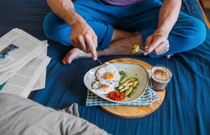 pet snake handling guide