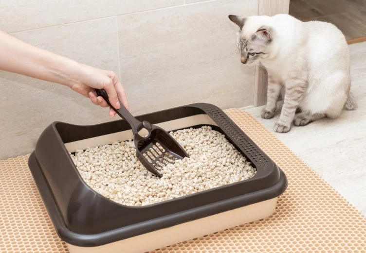 DIY cat litter box
