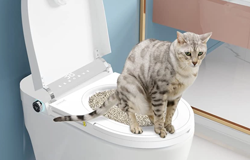 cat toilet training cat toilet training