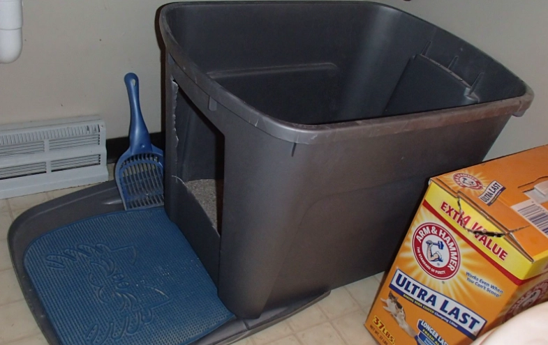 no litter cat box