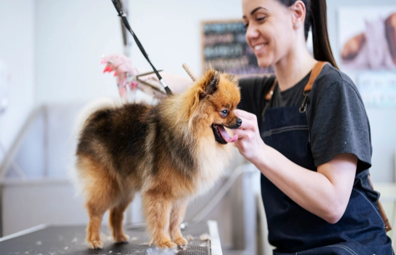 dog grooming tips for groomers