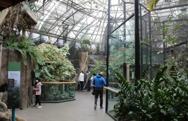 small pet enclosure ideas