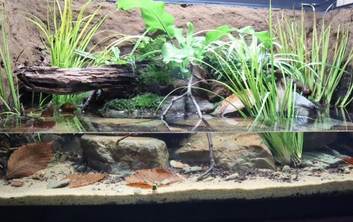 small pet enclosure ideas