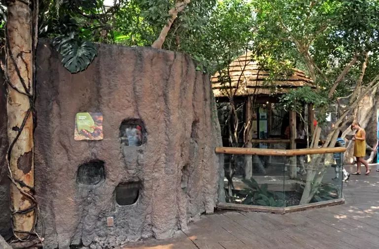 small pet enclosure ideas