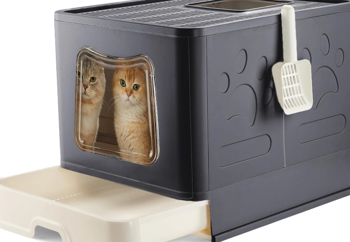 best kitten litter box best kitten litter box