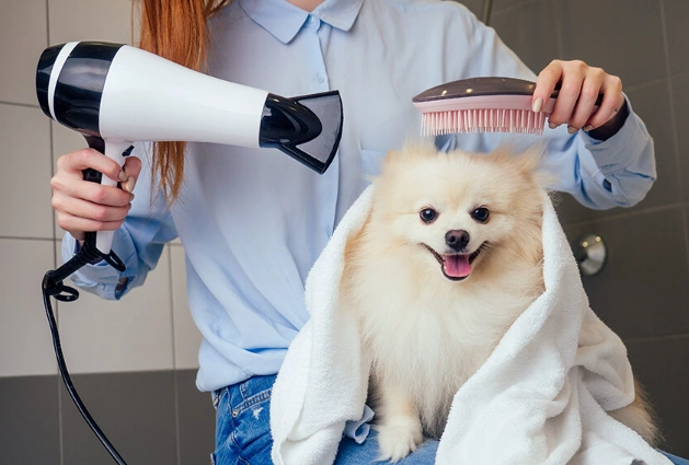 workplace grooming standards