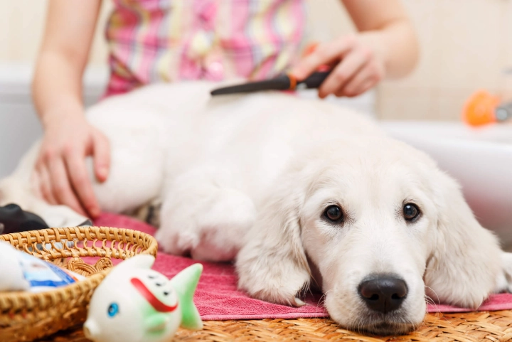 business appearance do's and don'ts