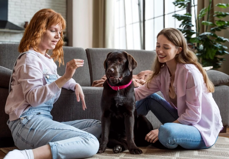 silent killers in dogs