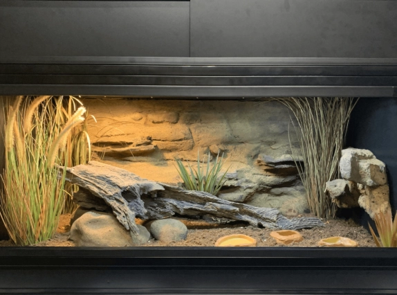 how to set up a reptile tank how to set up a reptile tank