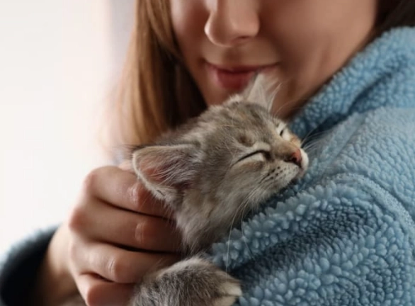 how to care for a kitten