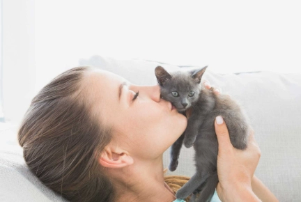 how to care for a kitten