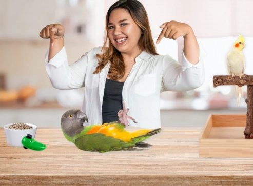 bird clicker training