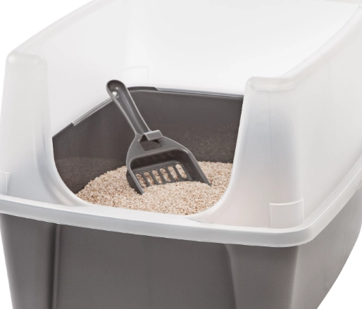 litter train adult cat