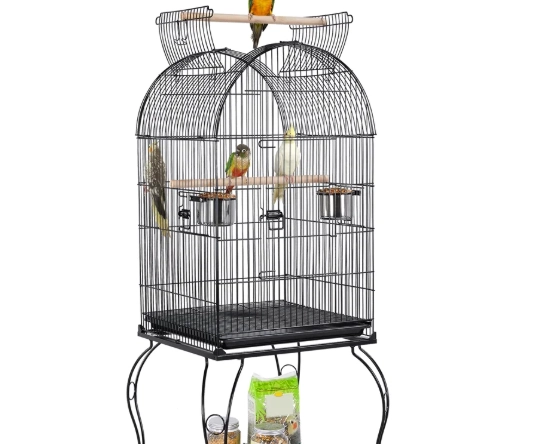 bird cage setup