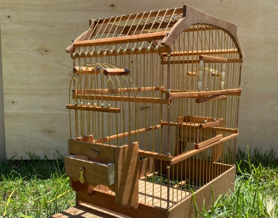 avian care essentials