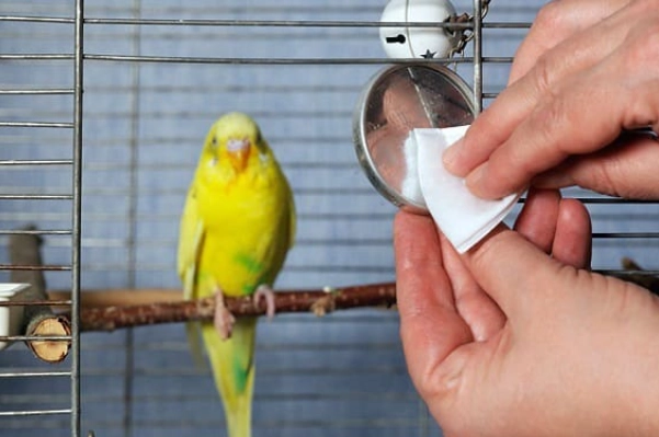 Easy to clean bird cage