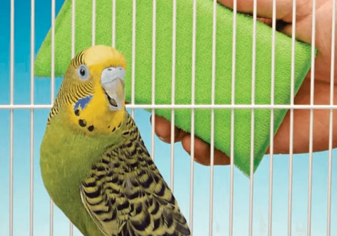 easy to clean bird cage easy to clean bird cage