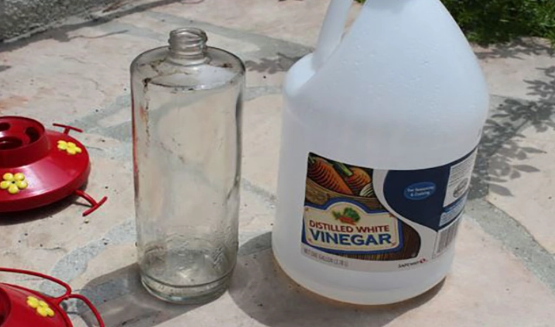 Can I use vinegar to clean my bird's cage?