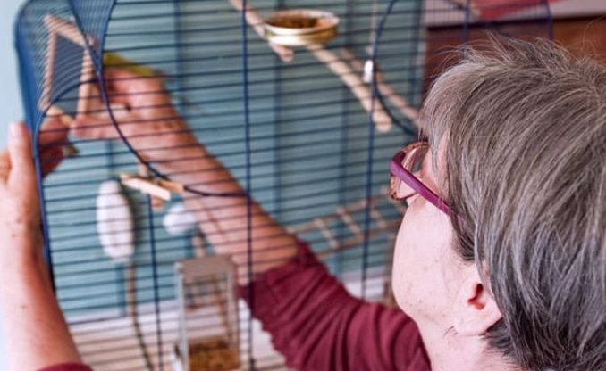Self-cleaning bird cage