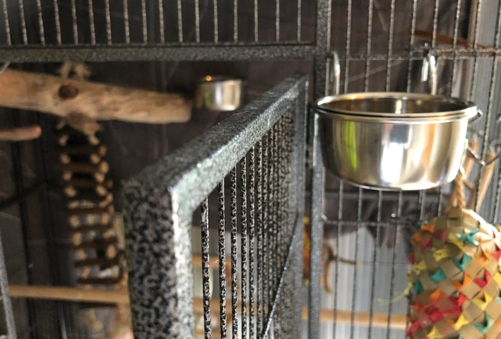 How to clean bird cage with vinegar
