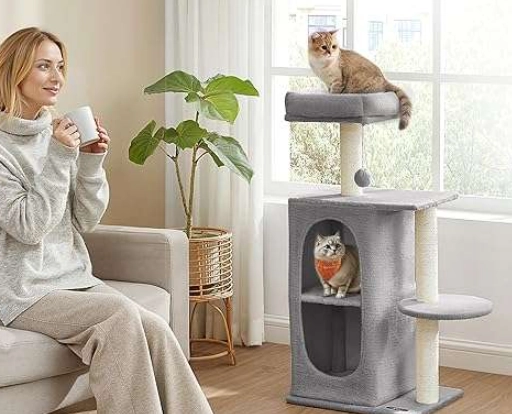 best cat dental treats