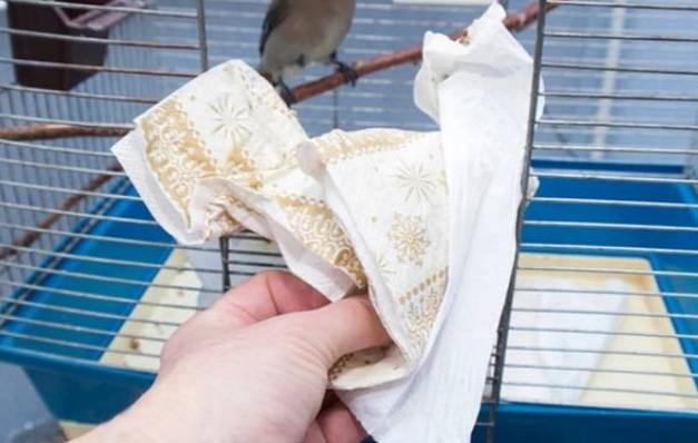 Bird cage cleaning hacks