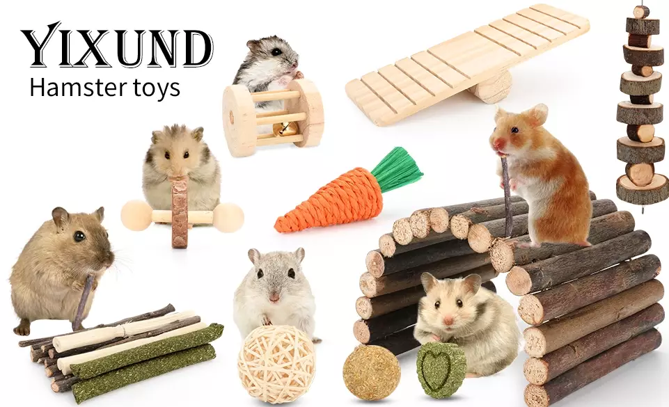 safe hamster cage accessories