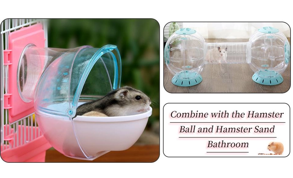 hamster enrichment toys