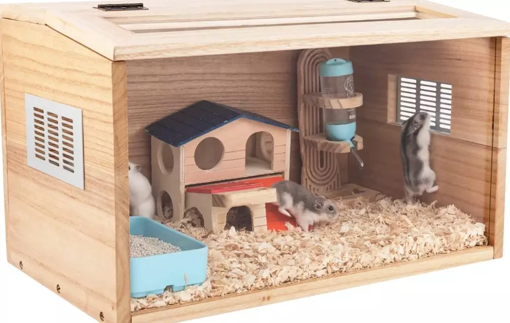 Natural hamster cage setup