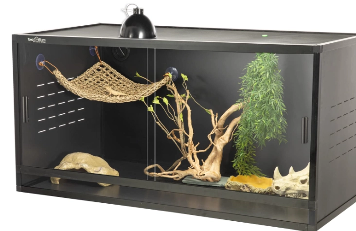 snake cage setup snake cage setup