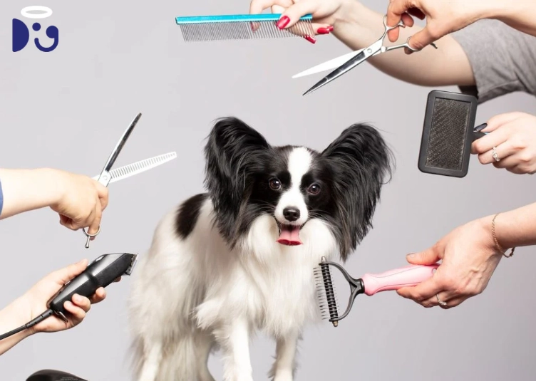 how to groom a dog