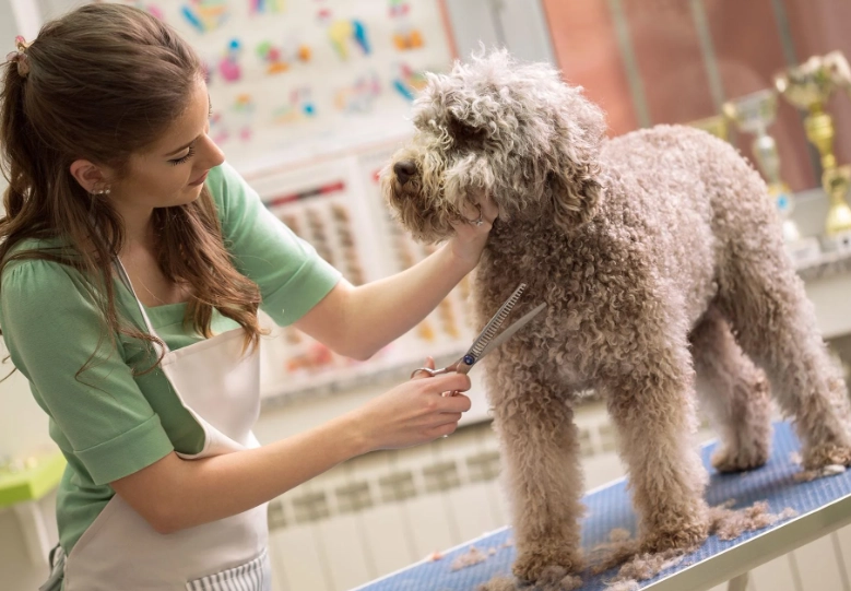 at home dog grooming