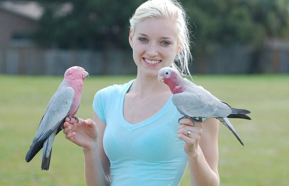 How to bond with a bird in 5 minutes?