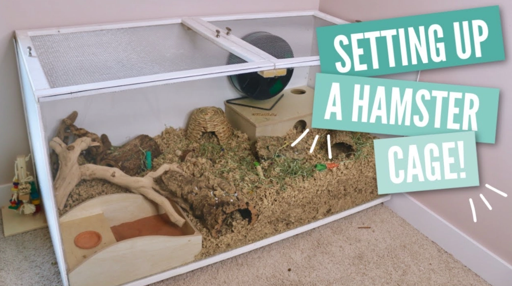 small mammal cage setup
