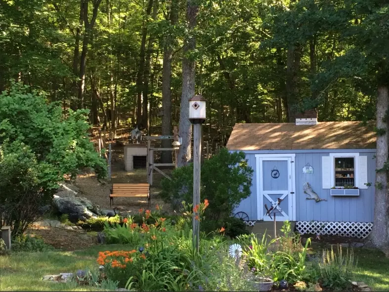 native plants for wildlife