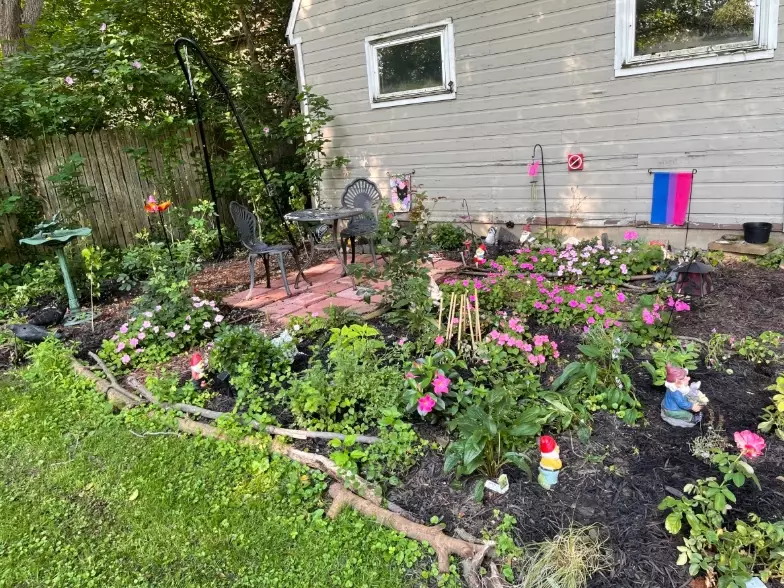 backyard wildlife habitat