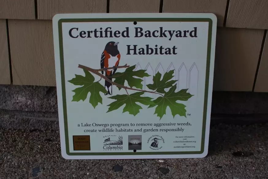 Backyard Habitat Certification