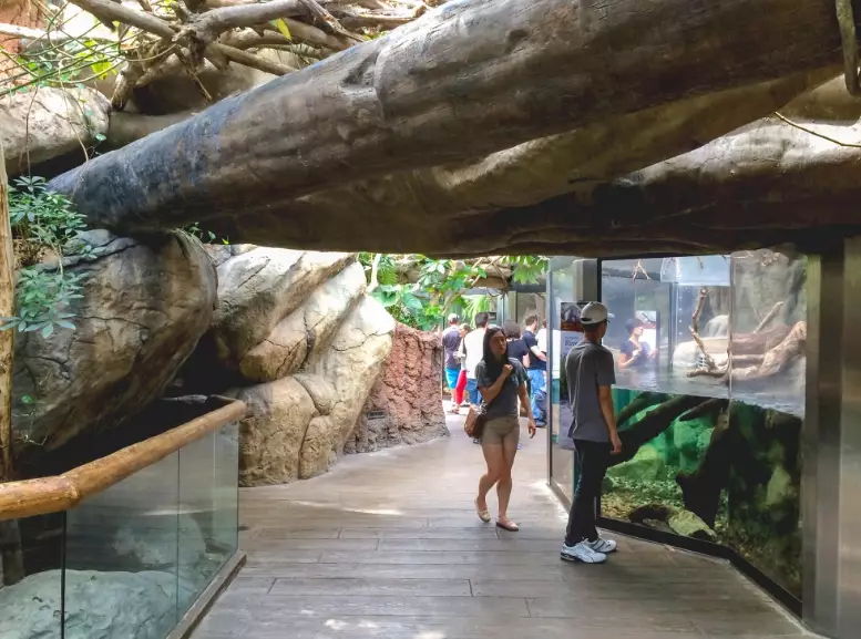 hamster habitat ideas