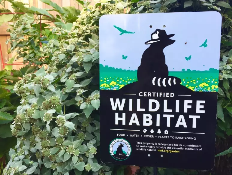 certified wildlife habitat